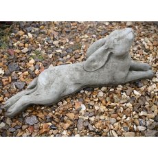 Laying Hare