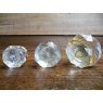 Wells Reclamation Glass Cupboard Knobs (Brass Collar)