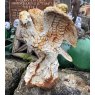 Wells Reclamation Cast Iron eagle statue