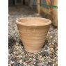 Wells Reclamation Terracotta Pots (Decorative)