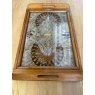 Wells Reclamation Early 20th Century Butterfly Tray