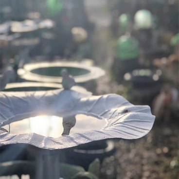 Garden Wildlife Garden Wildlife