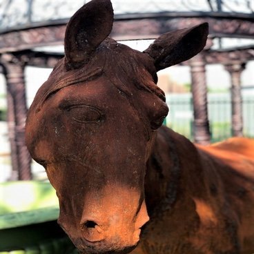 Farm Animals