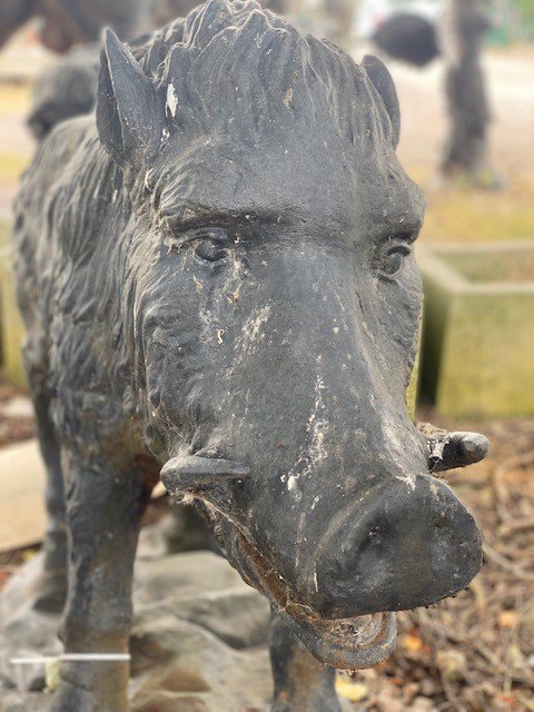 Artofzoo Milly Iron Boar Videos Zoofilia Free Artofzoo