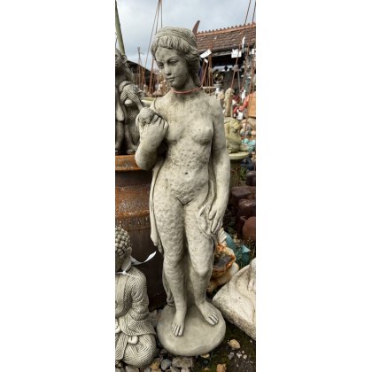 The Girl and The Dove