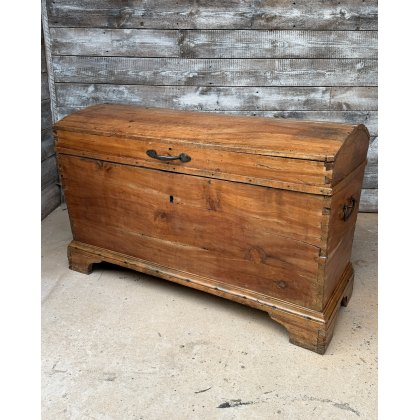 19th Century Large Domed Fruitwood Chest