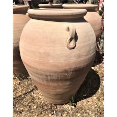Terracotta Olive Pot