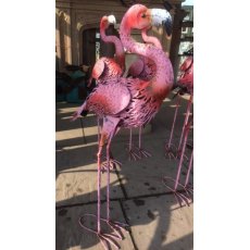 Funky Flamingo