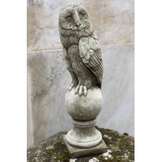 Barn Owl (Left)