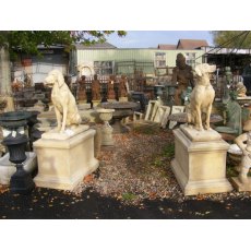 Pair of Stone Dogs in Plinths