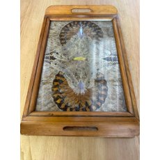 Early 20th Century Butterfly Tray