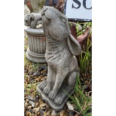 Moon Gazing Hare - Large