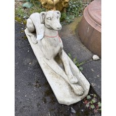 Recumbent Greyhound