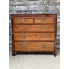 Antique English Regency Oak & Mahogany Chest Of Drawers Antique English Regency Oak & Mahogany Chest Of Drawers