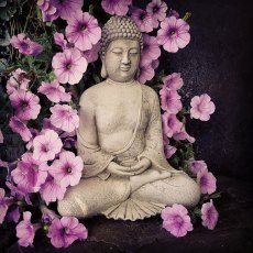 Tranquil Buddha
