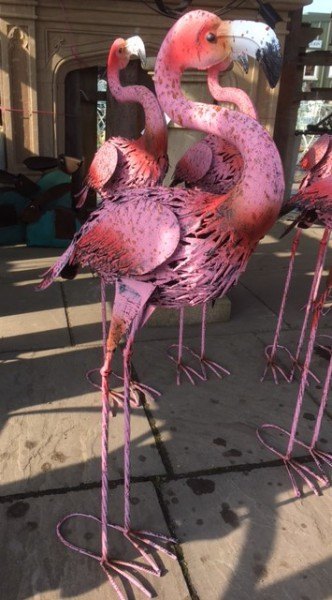 Wells Reclamation Funky Flamingo