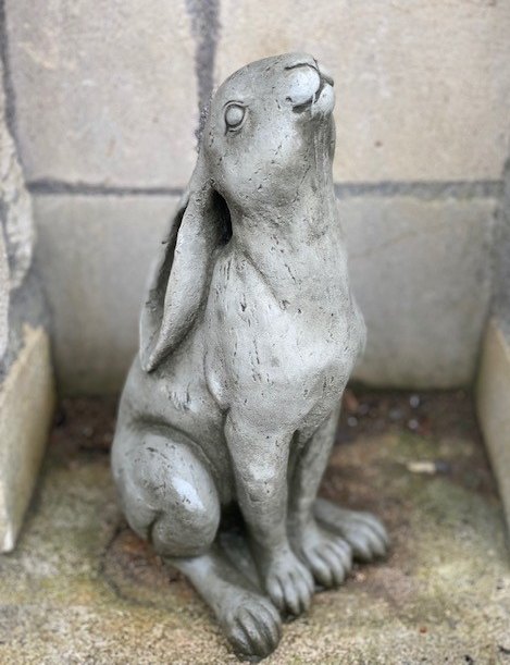 Wells Reclamation Moon Gazing Hare