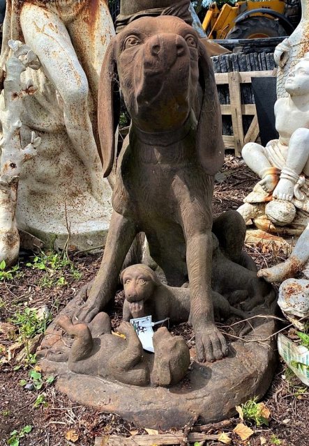Wells Reclamation Dog with Puppies