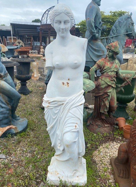 Wells Reclamation Venus