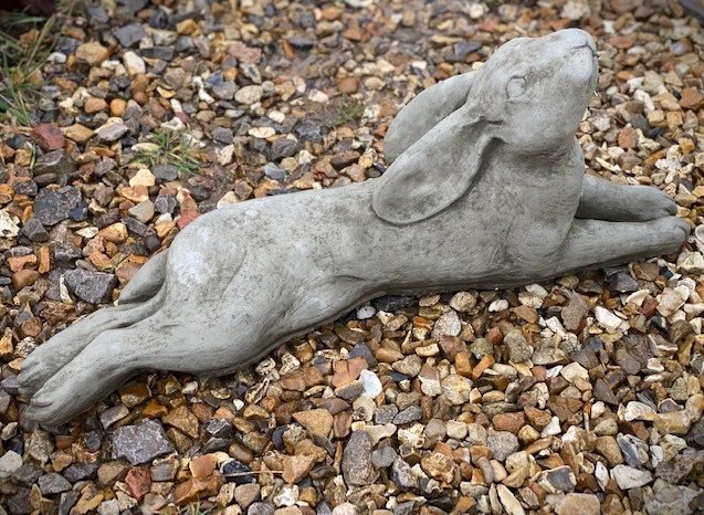 Wells Reclamation Laying Hare