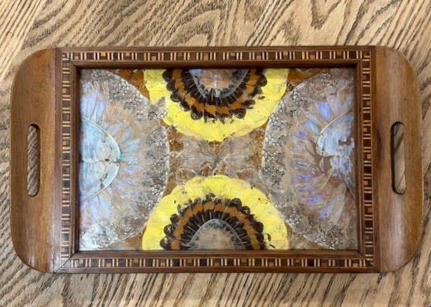 Wells Reclamation Early 20th Century Tunbridge Ware Butterfly Tray