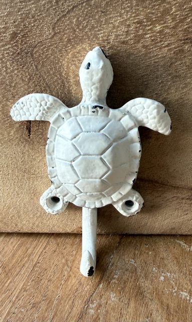 White Painted Turtle Hook