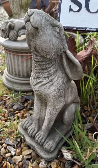Moon Gazing Hare - Large