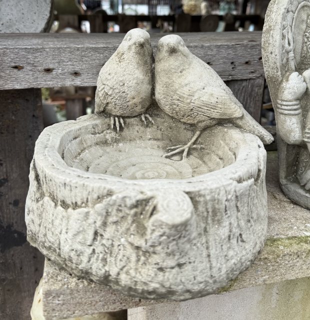 Birds on a Log Feeder