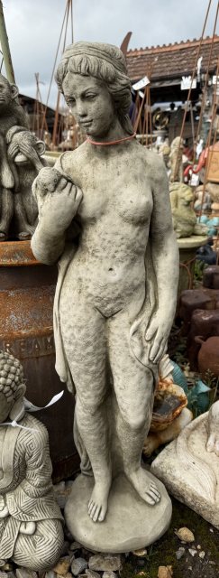 The Girl and The Dove