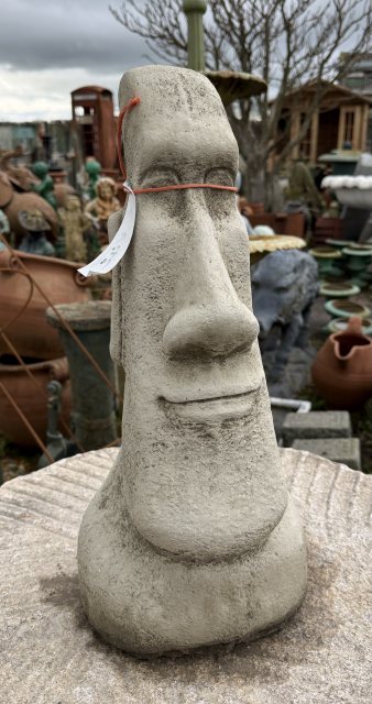 Easter Island Head