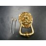 Lion Door Knocker (Small)