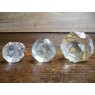 Glass Cupboard Knobs (Brass Collar)