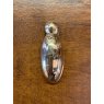 Wells Reclamation Brass Escutcheon (Beetle)