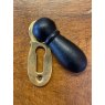 Wells Reclamation Wood & Brass Escutcheon (Beetle)