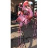 Funky Flamingo