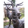 Wells Reclamation Cast Iron Stag