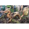 Wells Reclamation Large Cast Iron Oriental Dragon Statue