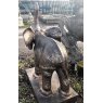 Wells Reclamation Cast Iron Elephant (Gold - Trunk Up)