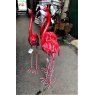 Red Flamingo