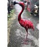 Wells Reclamation Red Flamingo