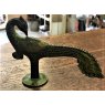 Brass Handle (Peacock)