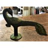 Wells Reclamation Brass Handle (Peacock)