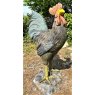 Wells Reclamation Cast Iron Cockerel