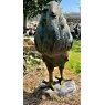 Wells Reclamation Cast Iron Cockerel