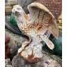 Wells Reclamation Cast Iron eagle statue