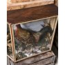 Wells Reclamation Victorian Taxidermy Cockerel