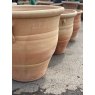 Large Terracotta Pots (2 Handles)