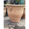Wells Reclamation Large Terracotta Pots (2 Handles)