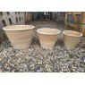 Wells Reclamation Terracotta Pots (Textured)