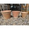 Wells Reclamation Terracotta Pots (Decorative)